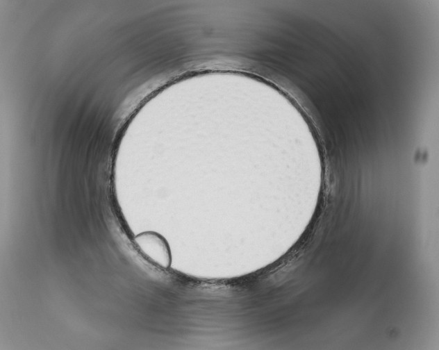 X0000112840437200910021111