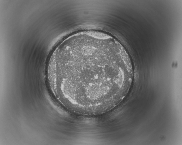 X0000112840438200910021111