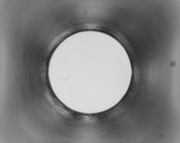 X0000112840442200910021111