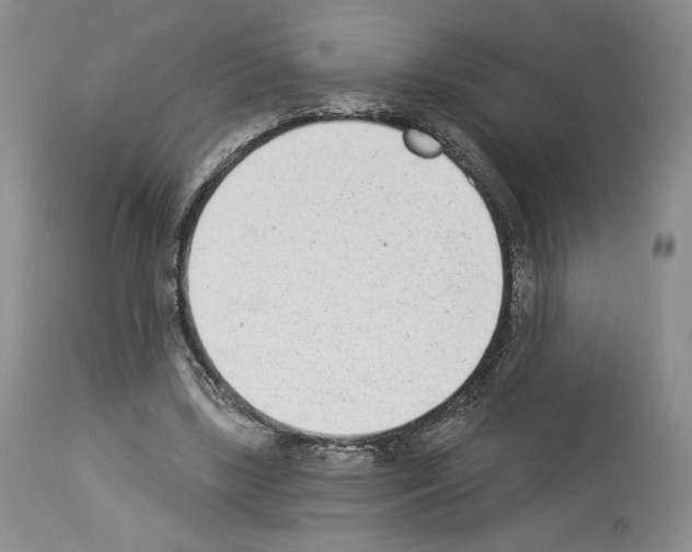 X0000112840443200910021111