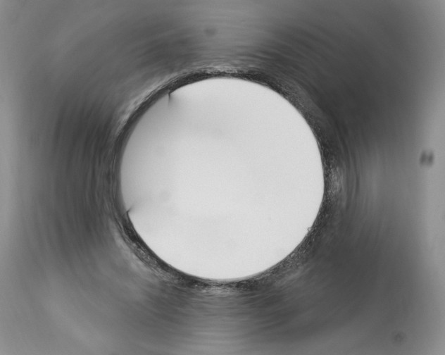 X0000112840444200910021111