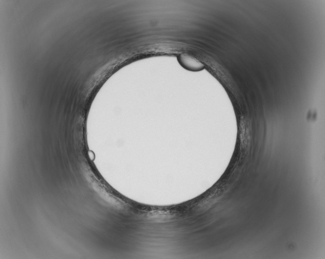 X0000112840445200910021111