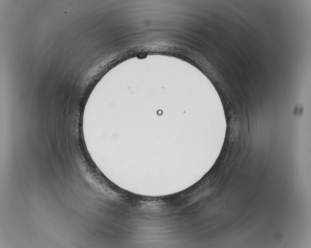 X0000112840446200910021111