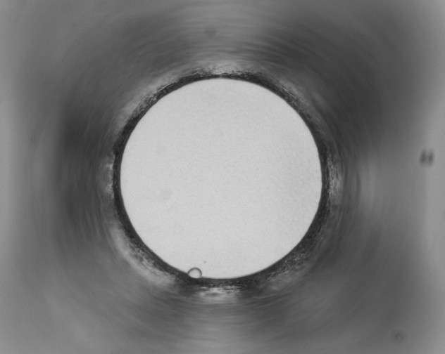 X0000112840447200910021111