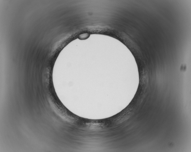 X0000112840448200910021111