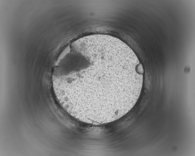 X0000112840449200910021111