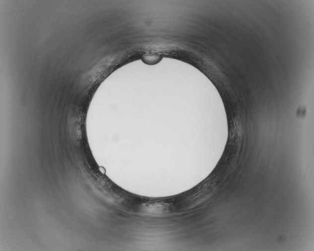 X0000112840452200910021111