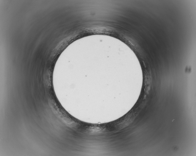 X0000112840453200910021112