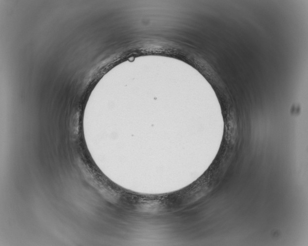 X0000112840454200910021112