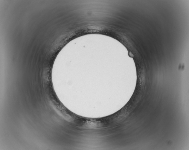 X0000112840455200910021112