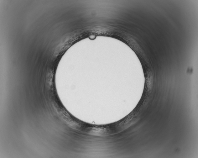 X0000112840458200910021112