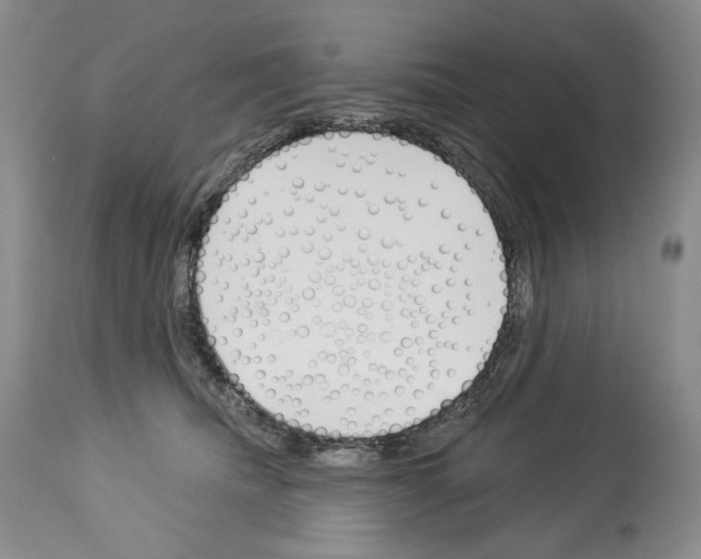 X0000112840468200910021112