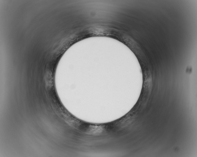 X0000112840469200910021112