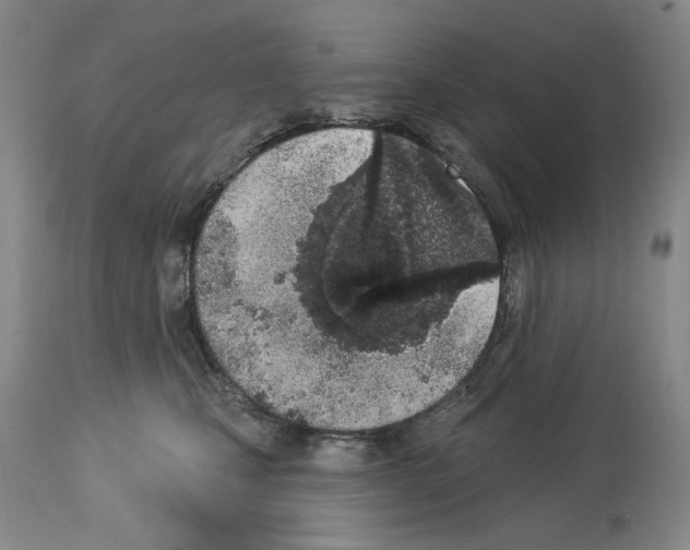 X0000112840471200910021112