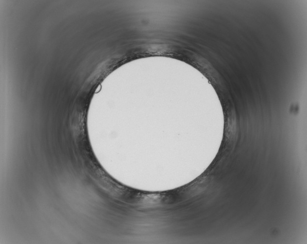 X0000112840473200910021112