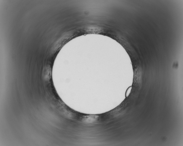 X0000112840474200910021112