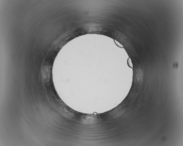 X0000112840475200910021112