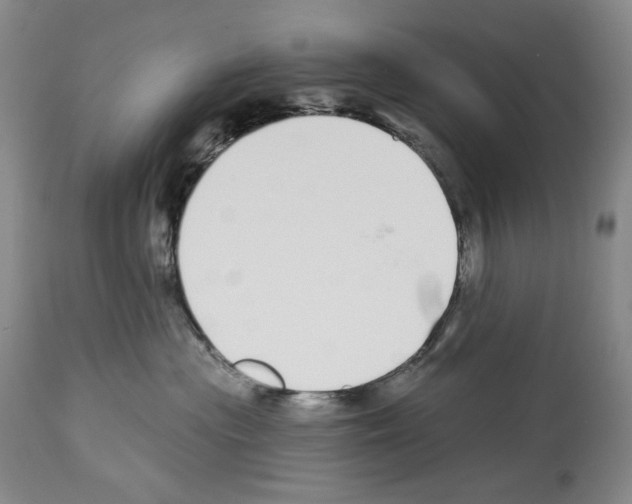 X0000112840477200910021112