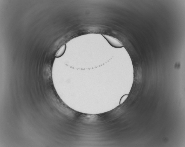 X0000112840478200910021112