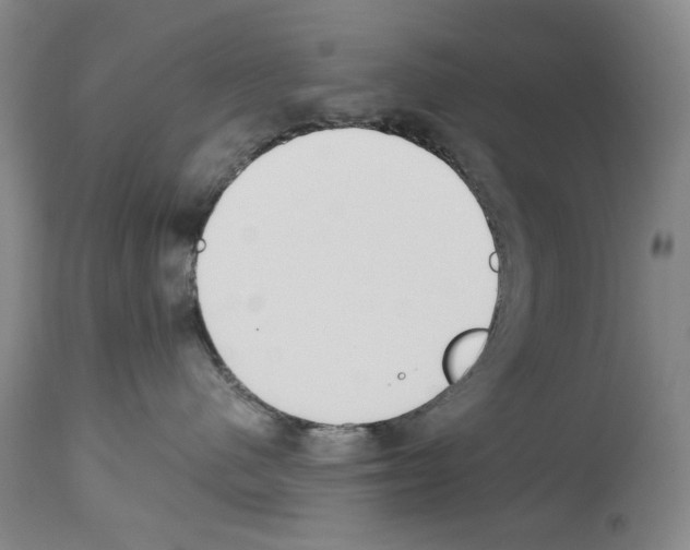 X0000112840480200910021112