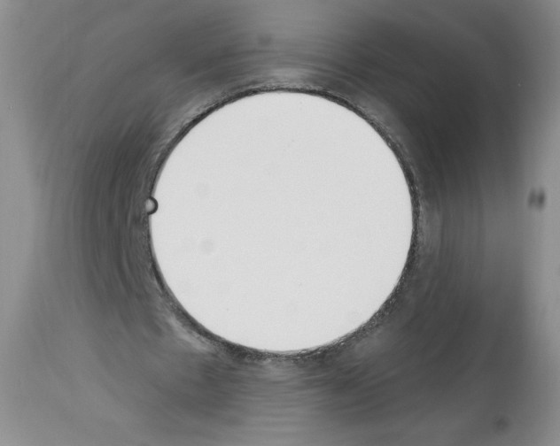 X0000112840481200910021111