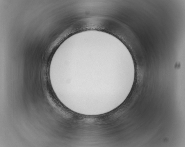 X0000112840482200910021111