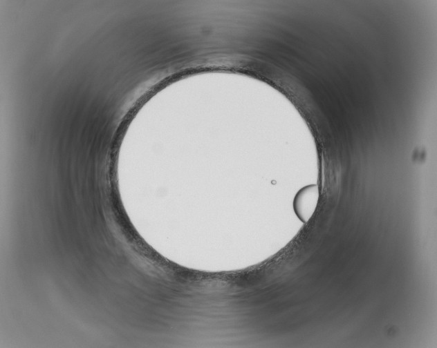 X0000112840483200910021111