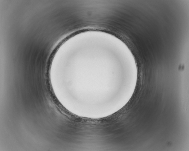 X0000112840484200910021111