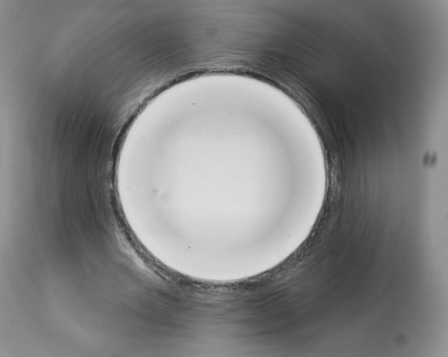 X0000112840485200910021111