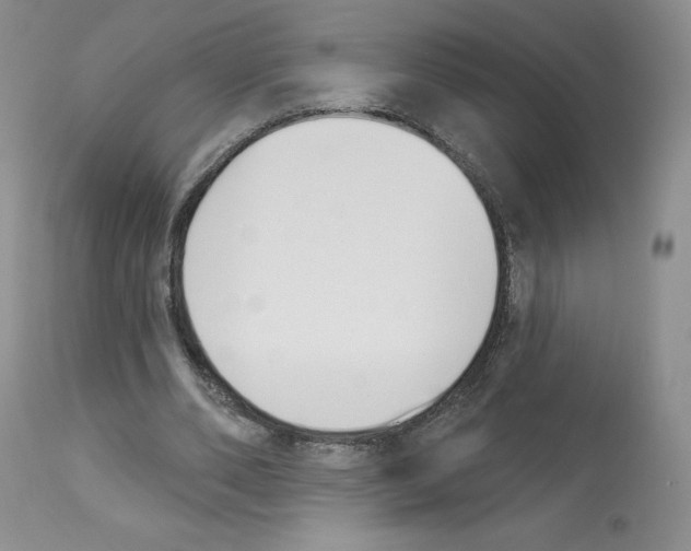 X0000112840486200910021111