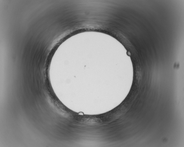 X0000112840488200910021111