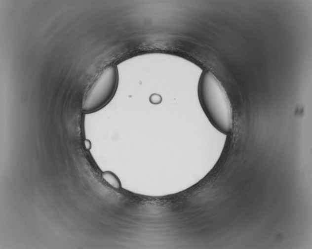 X0000112840489200910021111