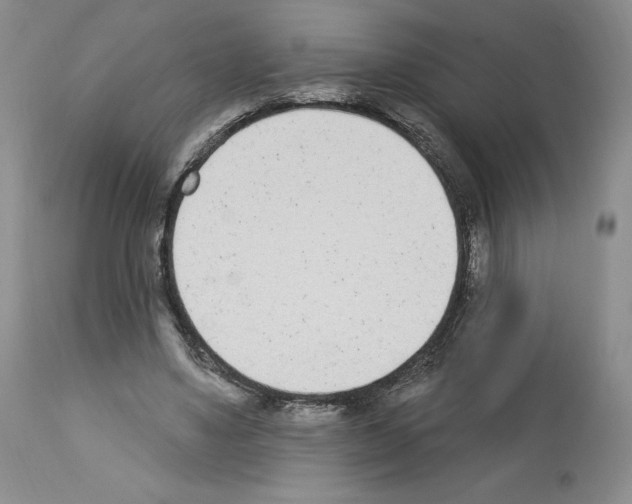 X0000112840491200910021111