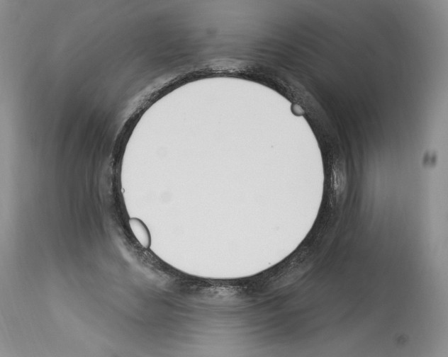 X0000112840492200910021111