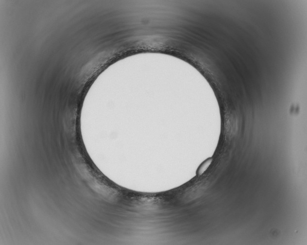 X0000112840493200910021111