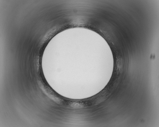 X0000112840494200910021111