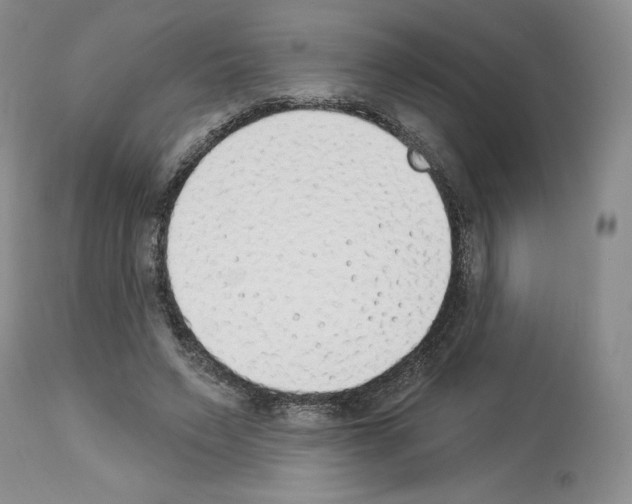 X0000112840495200910021111