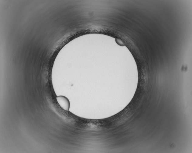 X0000112840496200910021111