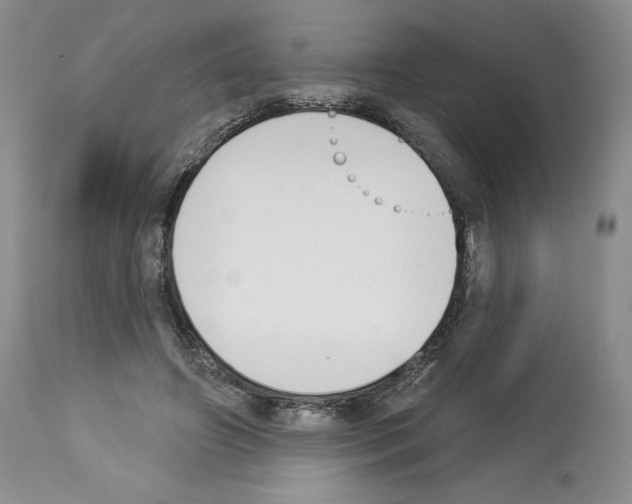 X0000112840498200910021111