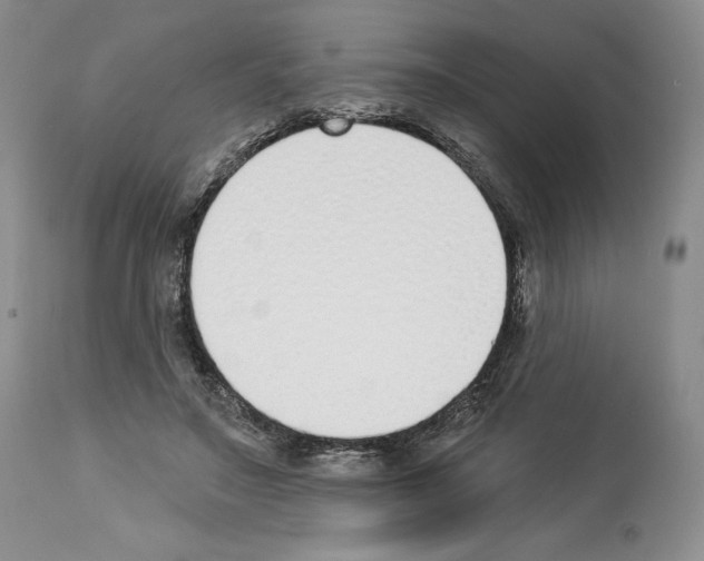 X0000112840499200910021111