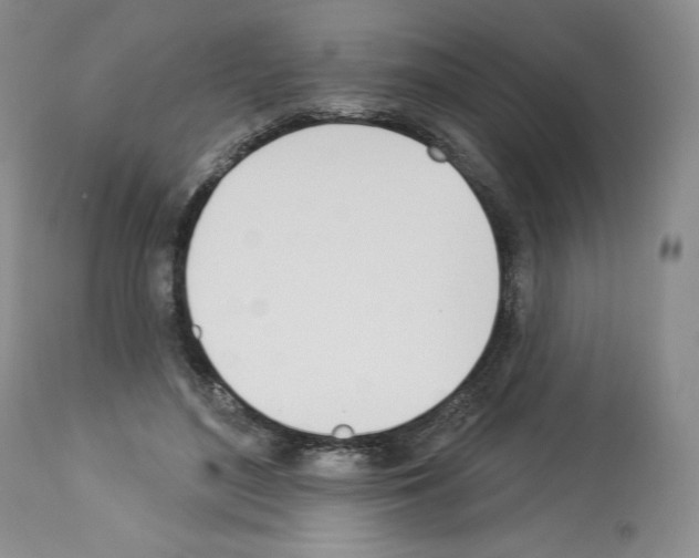 X0000112840500200910021111