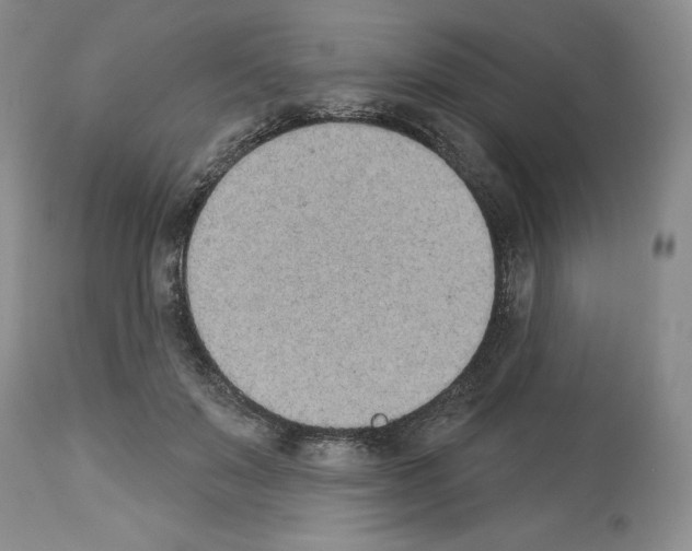 X0000112840503200910021111