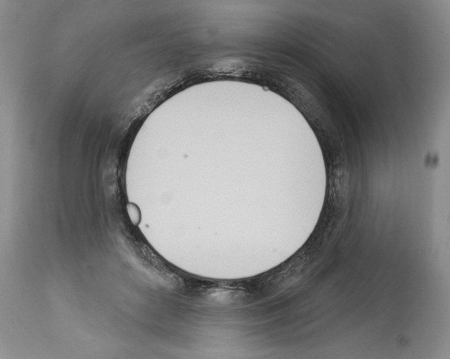 X0000112840504200910021111