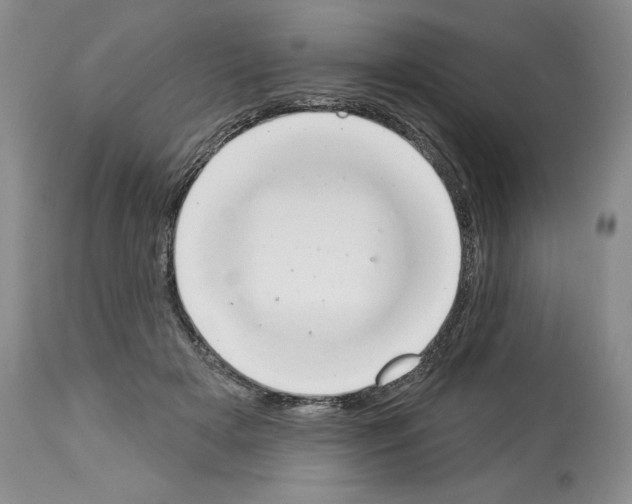 X0000112840505200910021111