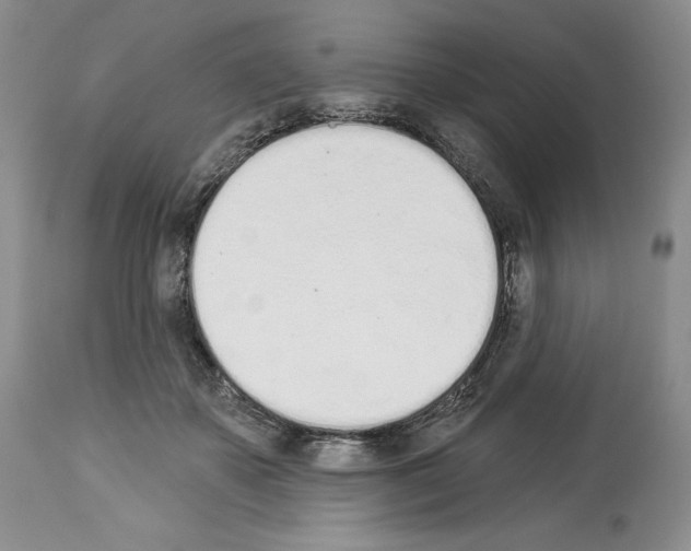 X0000112840507200910021111