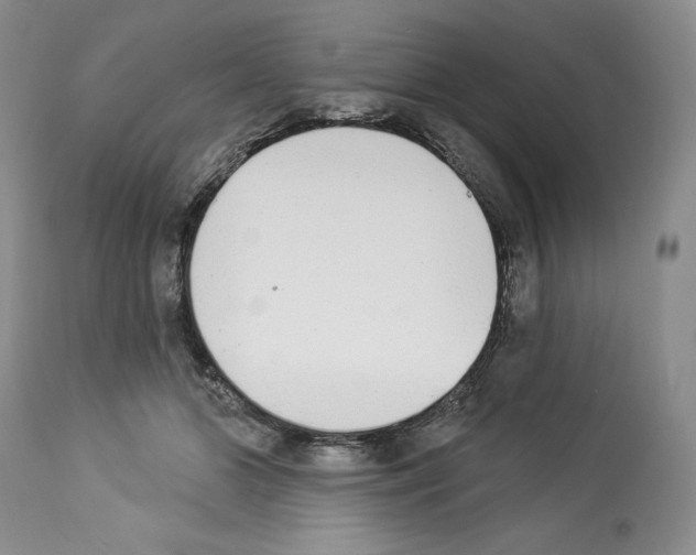 X0000112840510200910021111