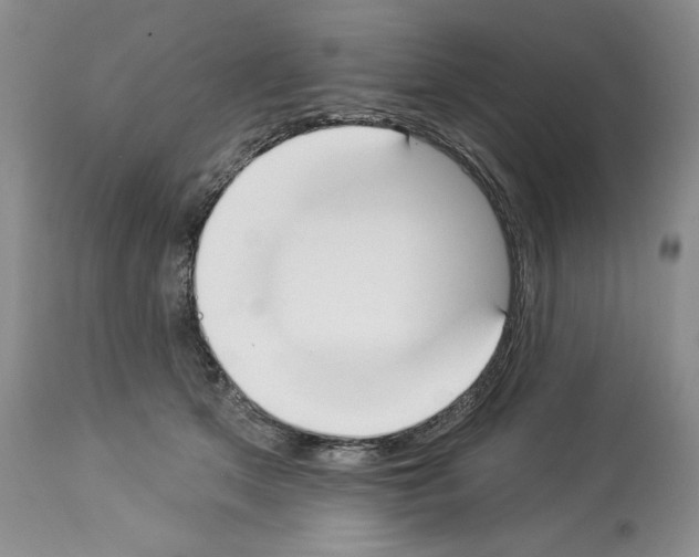 X0000112840513200910021111