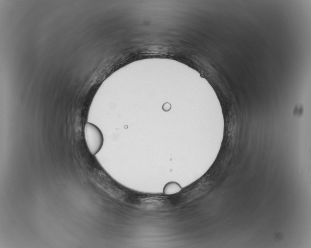 X0000112840516200910021111