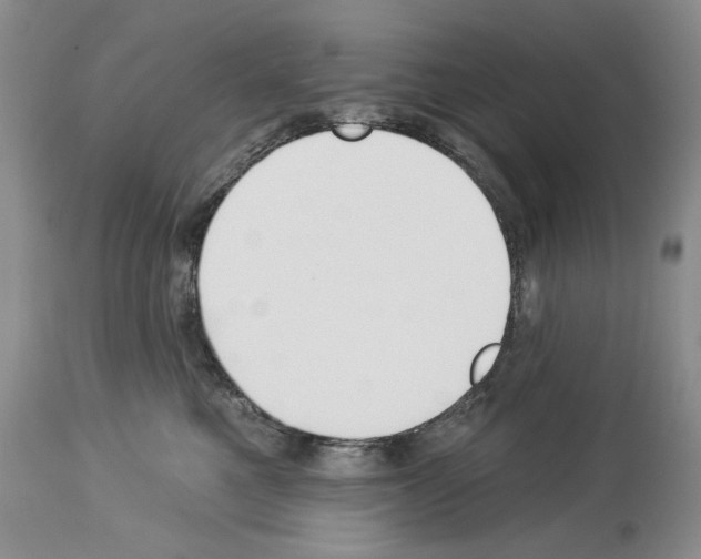 X0000112840521200910021111