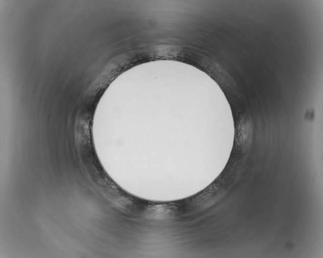 X0000112840522200910021111